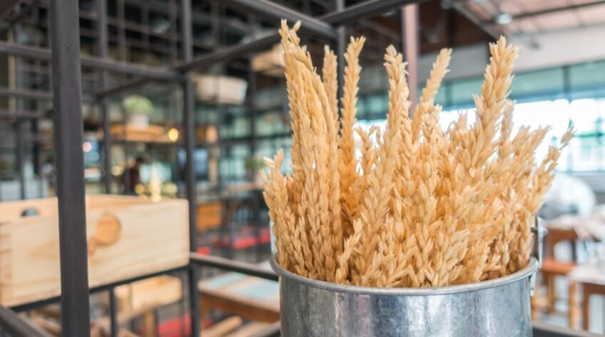 Why Import Premium 1121 Basmati Rice from India