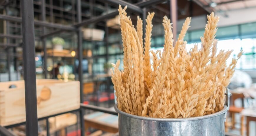 Why Import Premium 1121 Basmati Rice from India